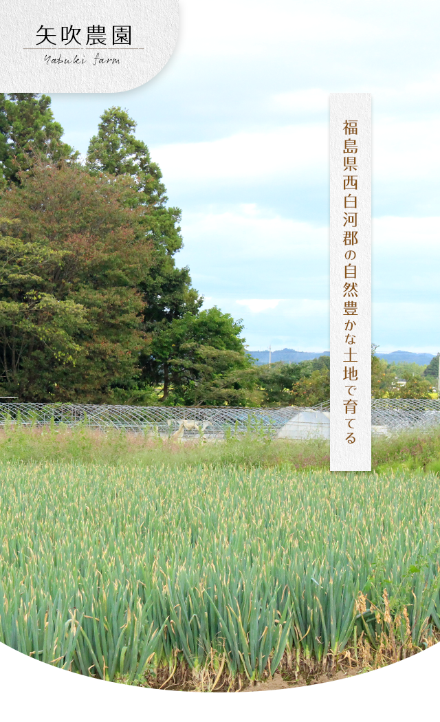 福島県西白河郡の自然豊かな土地で育てる